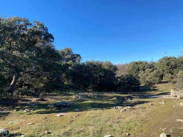Terreno en Diseminado Finca Cañales, 2