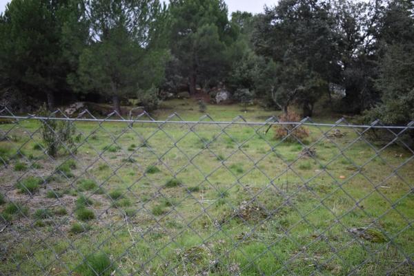 Terreno en avenida Sajonia, 4