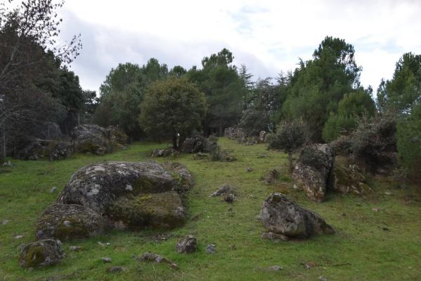 Terreno en avenida Sajonia, 4
