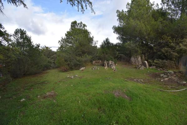 Terreno en avenida Sajonia, 4