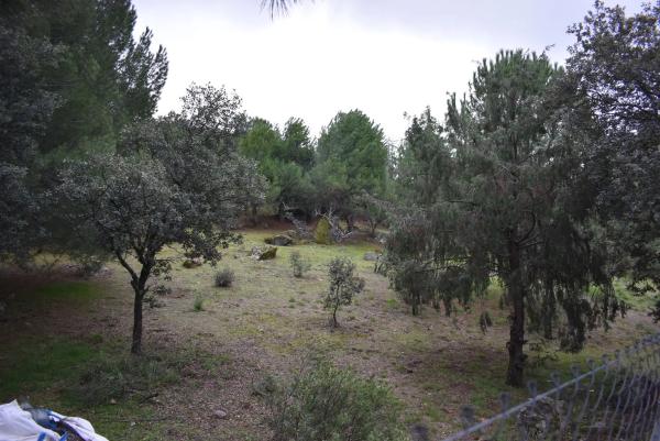 Terreno en avenida Sajonia, 4