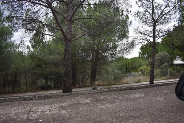 Terreno en avenida Sajonia, 4