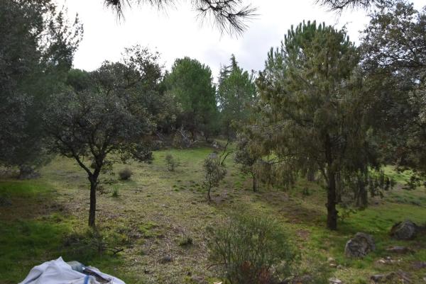 Terreno en avenida Sajonia, 4