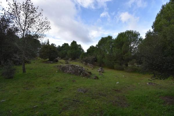 Terreno en avenida Sajonia, 4