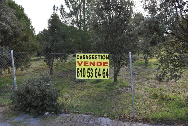 Terreno en avenida Sajonia, 4