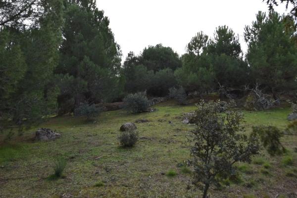 Terreno en avenida Sajonia, 4