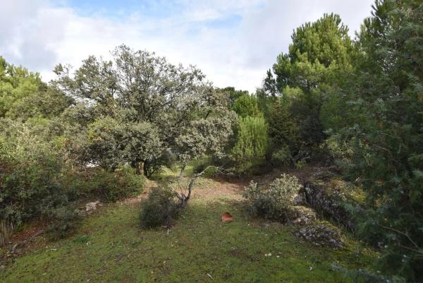 Terreno en avenida Sajonia, 4