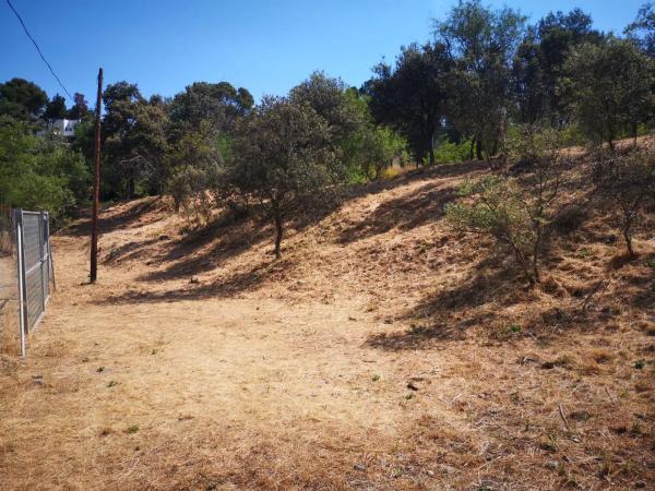 Terreno en calle de las Minas, 5