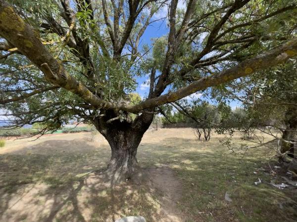 Terreno en calle del Mar Egeo, 9