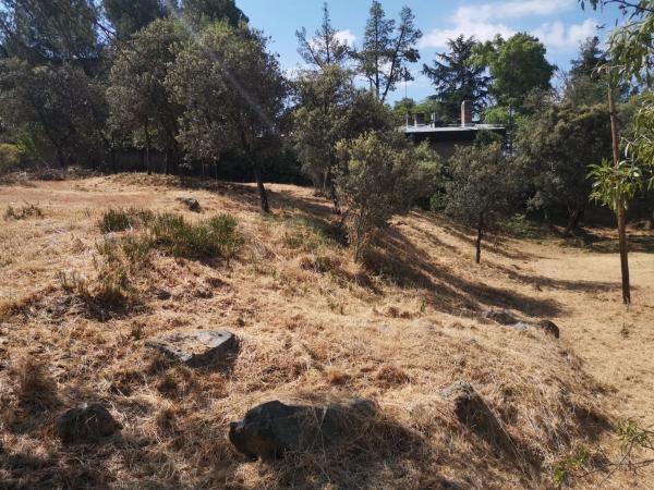 Terreno en calle de las Minas, 5