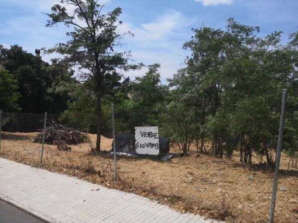 Terreno en calle de las Minas, 5