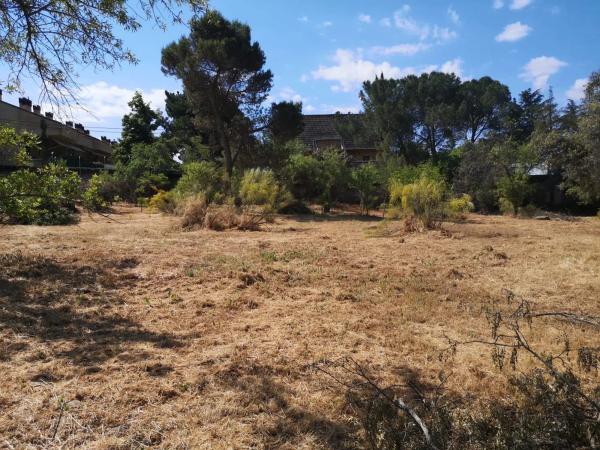 Terreno en calle de las Minas, 5