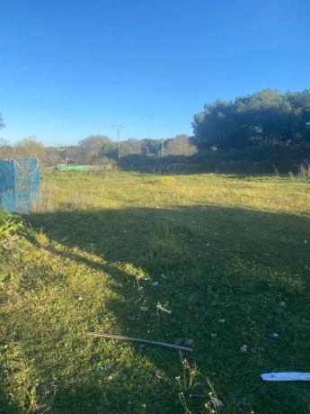 Terreno en calle Casa Amarilla