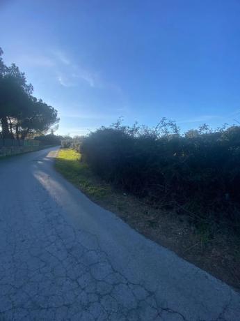 Terreno en calle Casa Amarilla