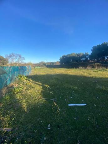 Terreno en calle Casa Amarilla