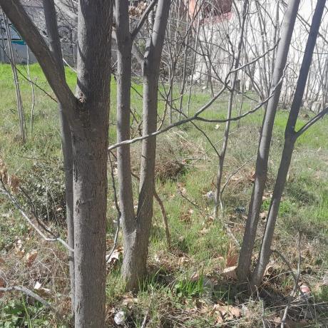 Terreno en calle de las Procesiones