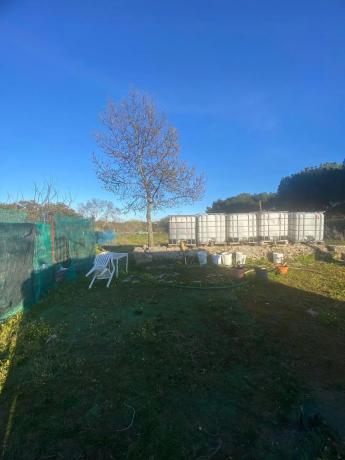 Terreno en calle Casa Amarilla