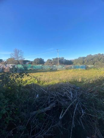 Terreno en calle Casa Amarilla