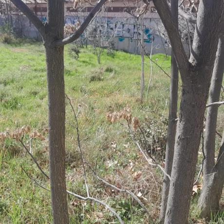 Terreno en calle de las Procesiones