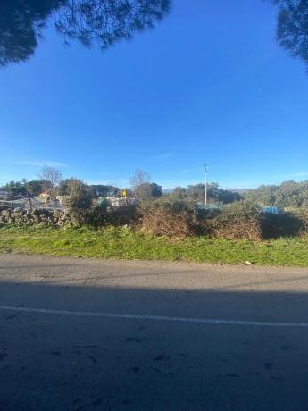 Terreno en calle Casa Amarilla