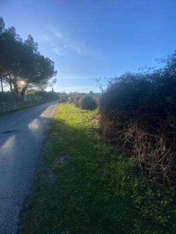 Terreno en calle Casa Amarilla