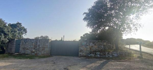 Terreno en M-519