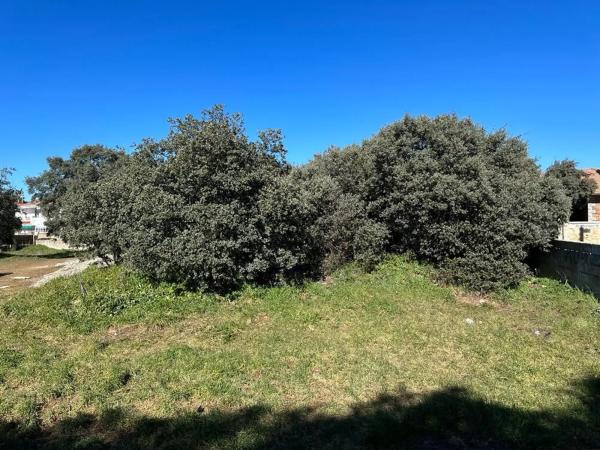 Terreno en calle Praderia