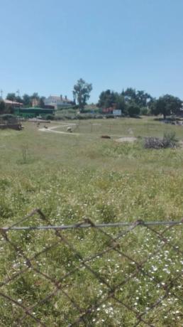 Terreno en carretera de Torrelodones, 43