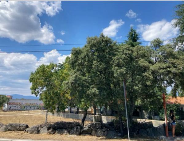 Terreno en carretera de Torrelodones, 43