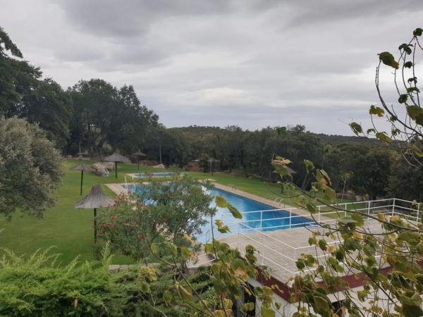 Terreno en calle de la Alondra, 6