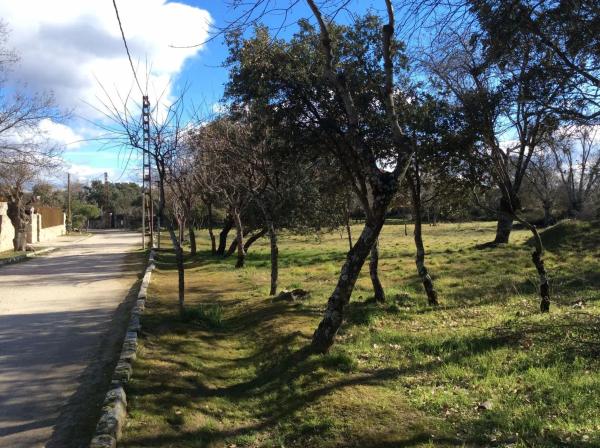 Terreno en calle Copos, 7  y 9