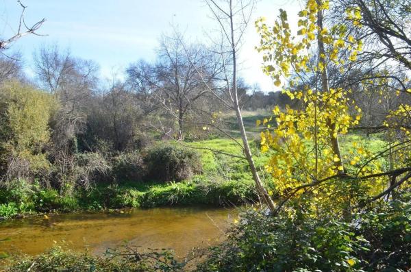 Terreno en Puerto de Galapagar-Las Cuestas