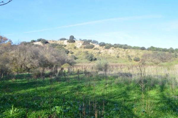 Terreno en Puerto de Galapagar-Las Cuestas