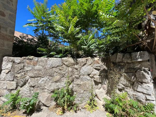 Terreno en avenida de los Voluntarios, 13