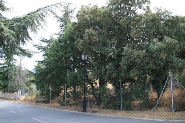 Terreno en calle Puerto de Canencia, 1