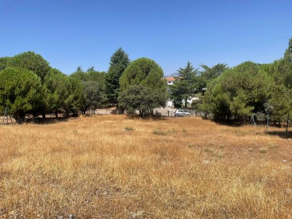 Terreno en calle Pizarro, 7