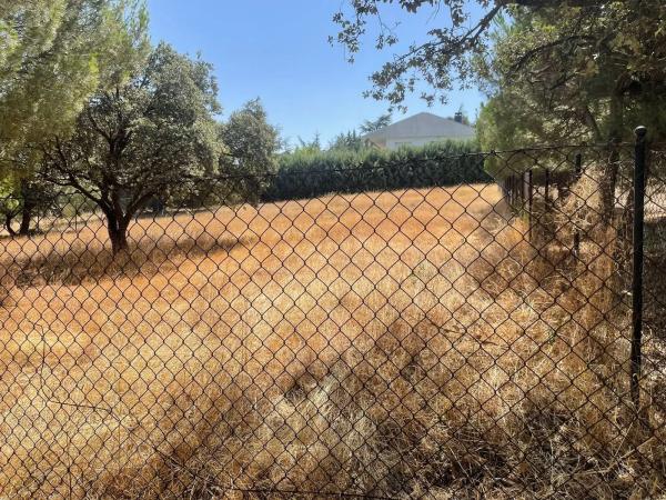 Terreno en calle Pizarro, 7