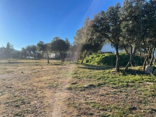 Terreno en calle las Chaparras, 15
