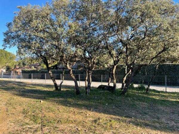 Terreno en calle las Chaparras, 15