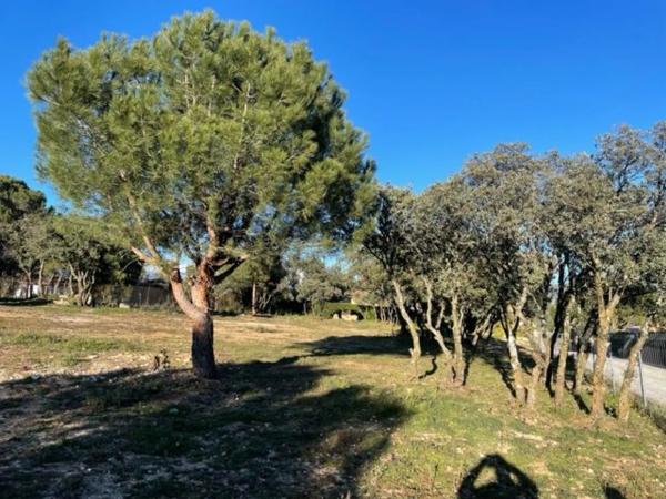 Terreno en calle las Chaparras, 15