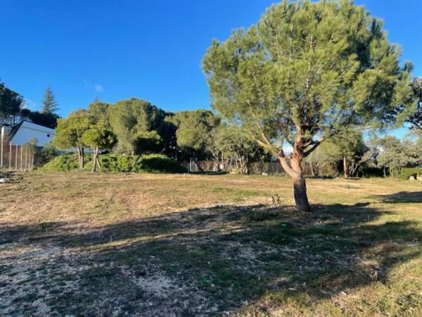 Terreno en calle las Chaparras, 15