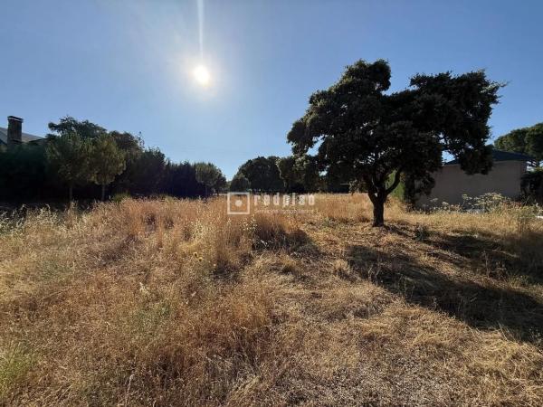 Terreno en Guadarrama