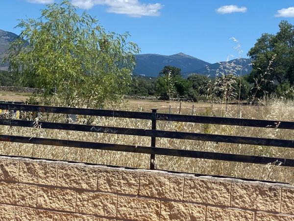 Terreno en calle Mónaco, 34