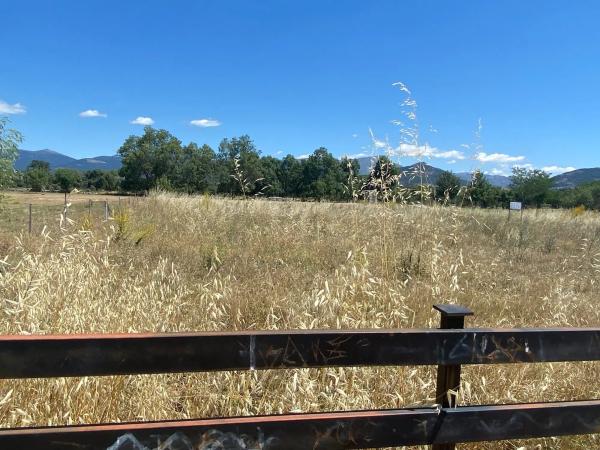 Terreno en calle Mónaco, 34