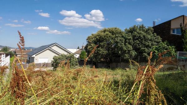 Terreno en paseo de los Tilos, 13