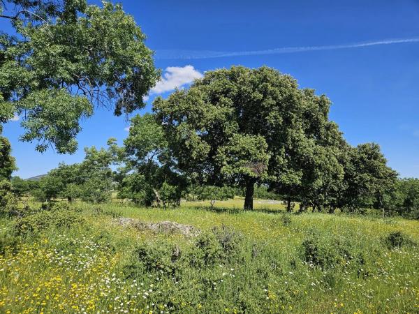 Terreno en M-623 s/n