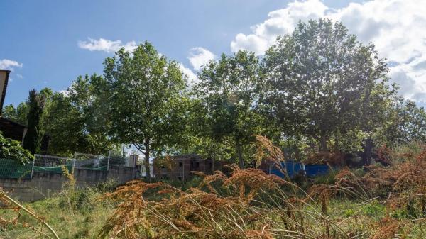 Terreno en paseo de los Tilos, 13