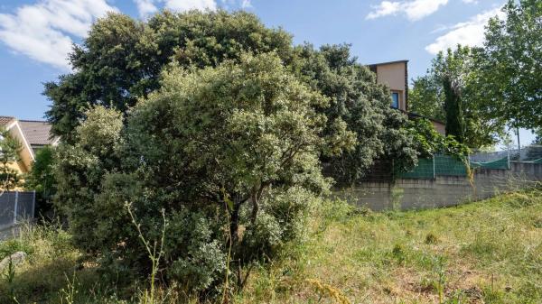 Terreno en paseo de los Tilos, 13