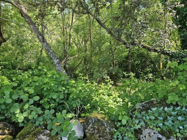 Terreno en M-623 s/n