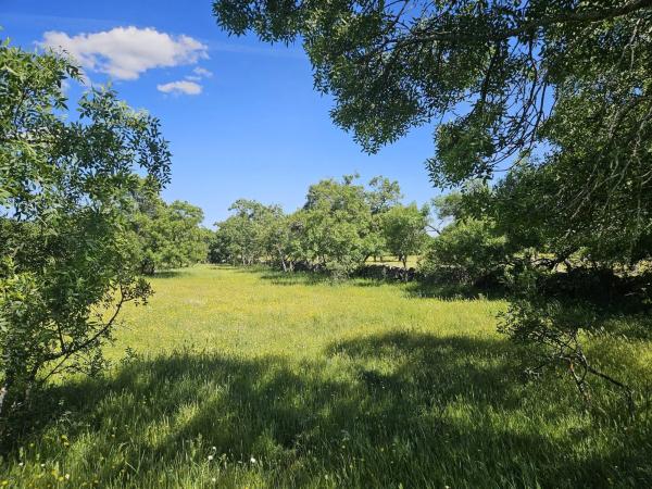 Terreno en M-623 s/n